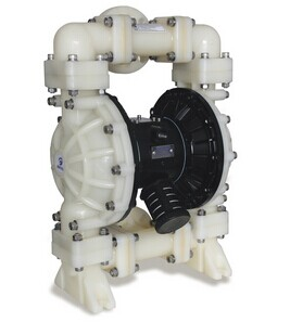 Pompe à diaphragme en plastique de 1,5 pouce