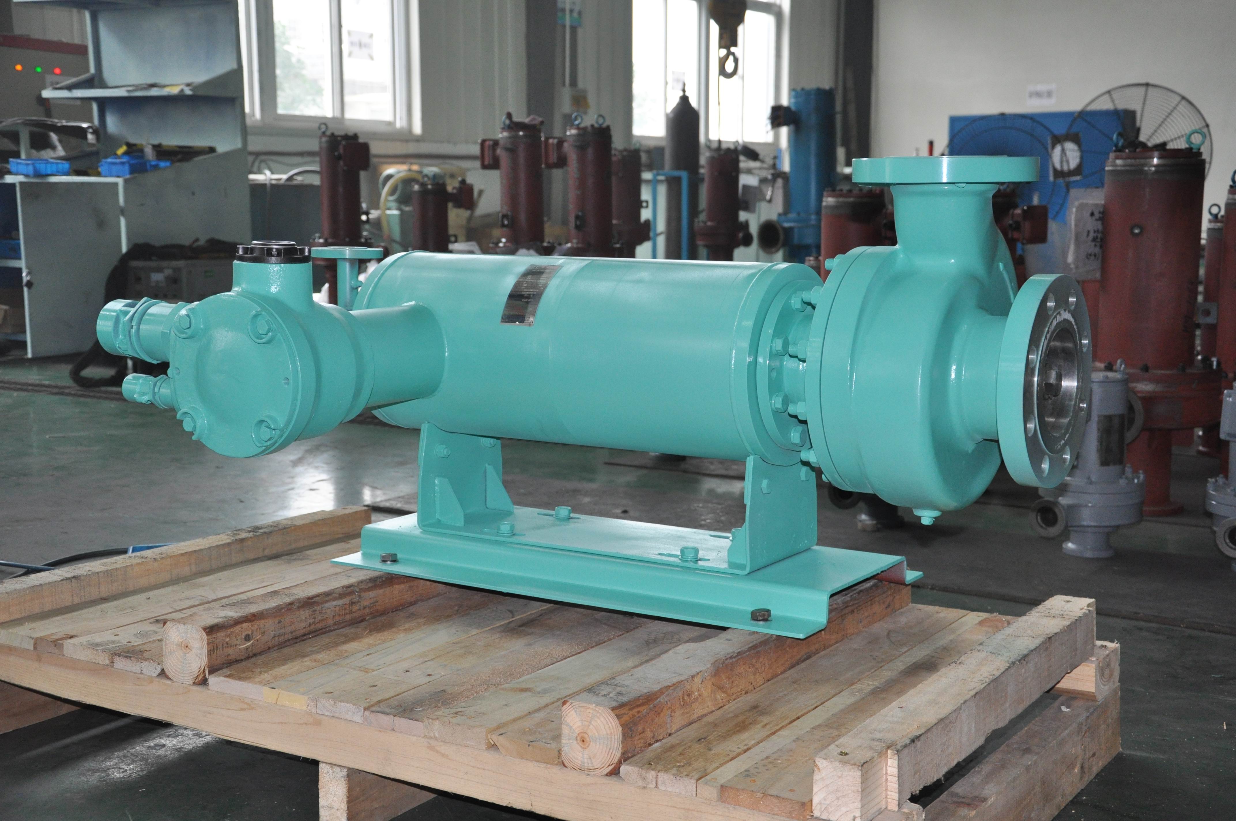 Pompe à moteur horizontale en conserve HNF